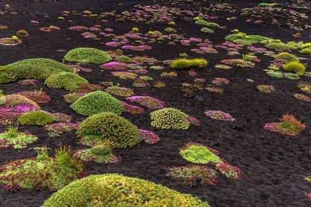 Grotta Serracozzo and Valle del Bove