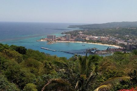 Dunn's River Climb and Zipline Over The Falls from Ocho Rios