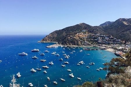 Catalina Island w/Discover Avalon Scenic Tour & Hotel transfers