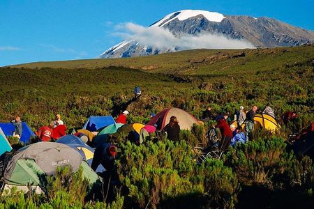 Mountain Kilimanjaro Climbing 7 Days Machame Route