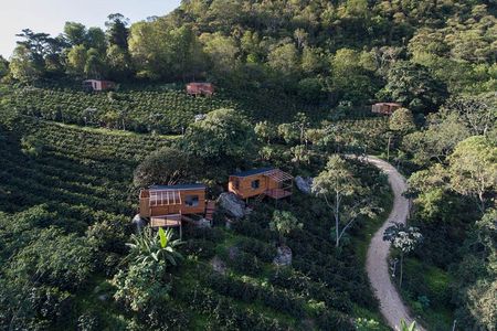 Luxury Coffee Plantation Private Tour (9 Hrs.)