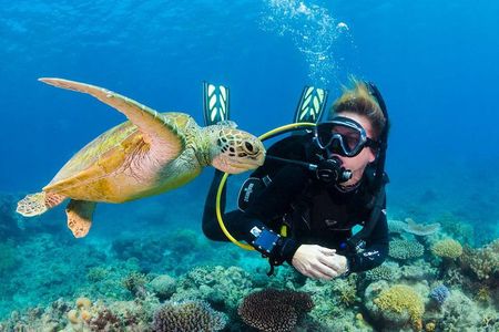 Scuba Diving on Catalina Island | 2 tanks, 2 spots