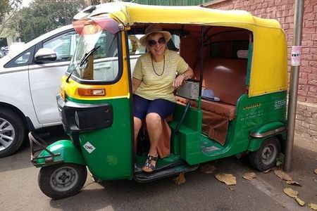 Half Day Sunrise Taj Mahal & Agra Fort Tour by TUK TUK