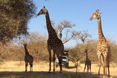 Your private driver & tour guide in Senegal-Reserve of Bandia