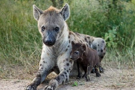 2 Days Lodge Safari – Tarangire & Ngorongoro Crater