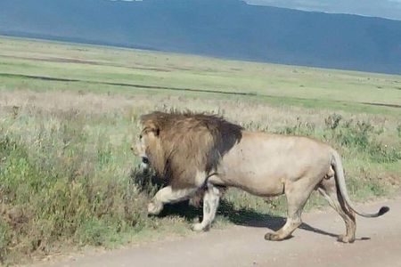 3 Days Budget Mid Range Safari Tour Tanzania