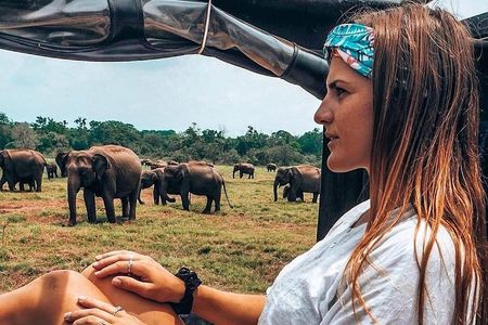 Sri Lanka Budget tour 11 N /12 D with driver, vehicle and H/B accommodations 