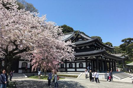 Tokyo Private Car Tour: Kamakura, Enoshima & Yokohama Highlights