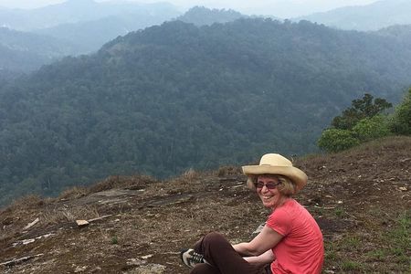 Tea plantation walk and stay in valley view Room (By Munnar Info)