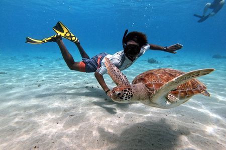 Curacao: Swimming with Sea Turtles and Grote Knip Beach Tour
