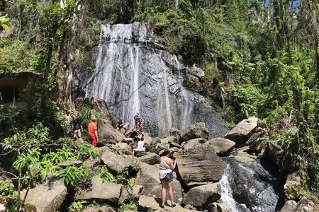 El Yunque Rainforest Hiking Tour from San Juan