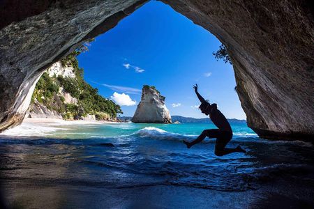 10 Day Auckland to Wellington Hihi Adventure Tour