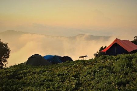 Nag Tibba 2 Days Trek (Pantwari to Pantwari)