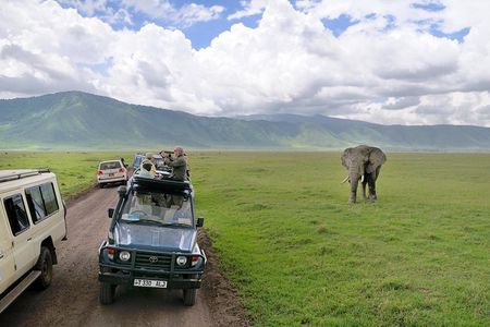 7 Days Tarangire, Serengeti, Ngorongoro & Manyara Camping Safari Tour Tanzania
