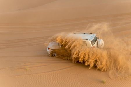 Abu Dhabi Half Day Desert Safari