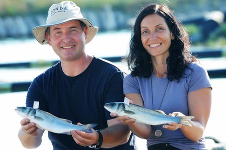 An Unforgettable Day With Fish, Wine and Olive Oil Tasting 
