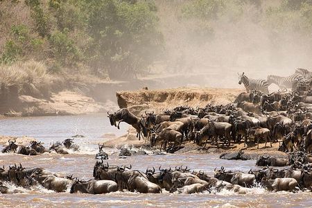 4 Days Luxury Lodge Safari Tour Tanzania