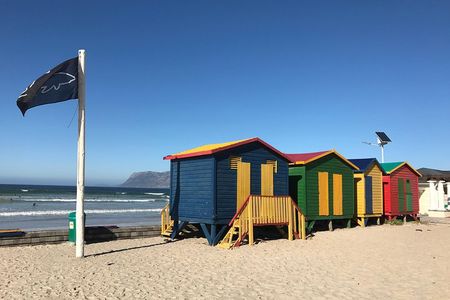 Visit African Penguins and Cape of Good Hope 