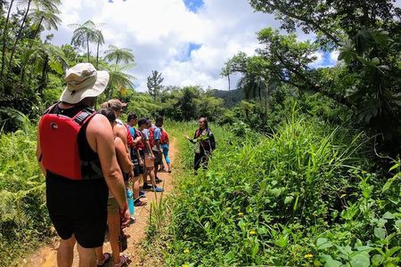 Half-Day Tour: El Yunque Rainforest and Waterslide Adventure