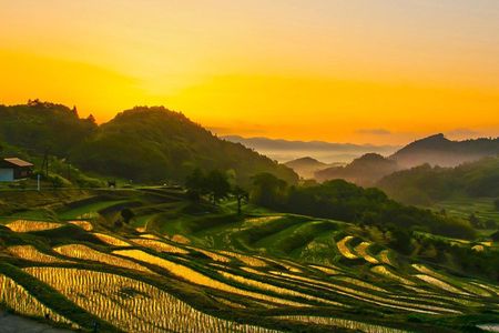 Noto Full Day Driving Tour (Private Car)