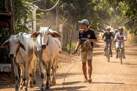 Phnom Penh: Cycling Adventure on Islands of the Mekong 