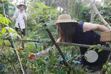 Balinese Cooking Class at Organic Farm