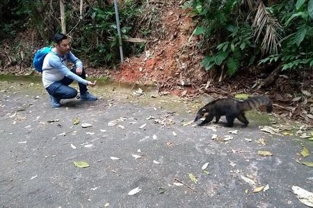 Tijuca Forest National Park