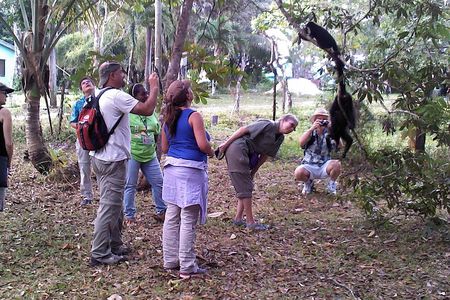 Howler Monkey Sanctuary and Belize City Tour