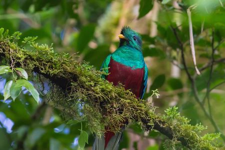 3-Day Tour of Cobán and Semuc Champey from Guatemala City