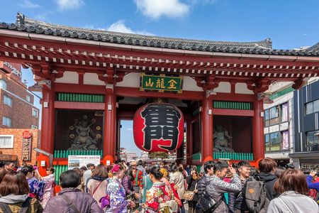 Half Day Sightseeing Tour in Tokyo