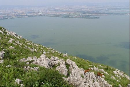 1 Day Spring City Private Trip