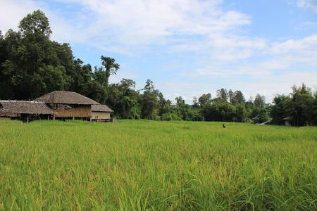 Private! Morning alms&Doi suthep&Wat Umong + Monjam & Hill tribe& Royal Project