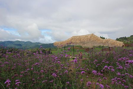 Fruiful Oneday! Trip outskirt of a City from end to end