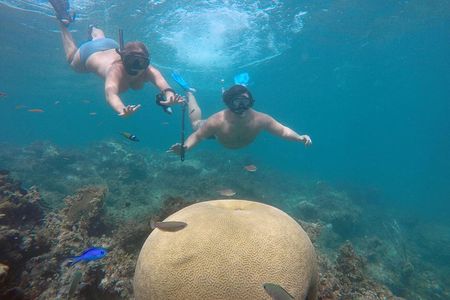 Punta Cana Private Cruise Up To 10 Snorkeling & Seafood lunch 