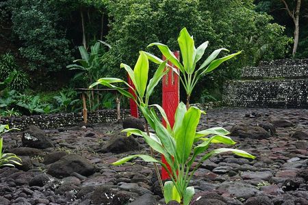Private Full-Day Tahiti — Grotto, Gardens & Panoramas