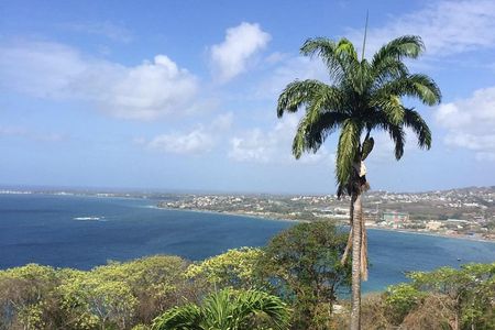 VIP Inclusive Private Tour of Island (Lunch, Drinks + Snorkeling)