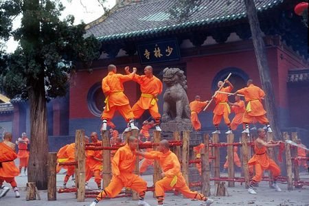 Private Day Trip from Xian to Luoyang by High-speed Train