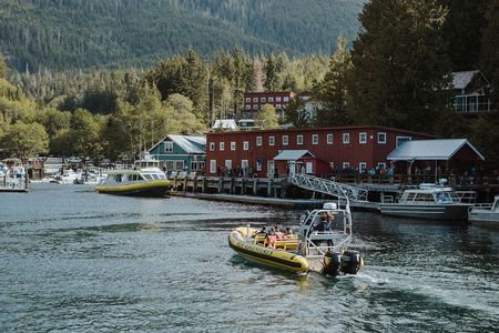 Vancouver Island Zodiac Whale Watching Adventure - Telegraph Cove