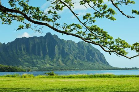 Private Green and Blue Circle Island Oahu Tour (se habla espanol)