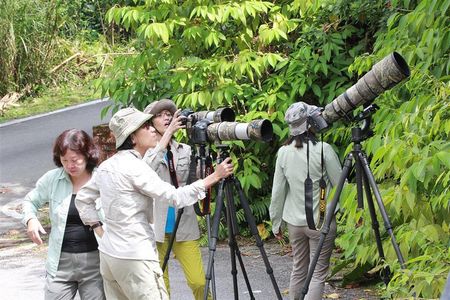 Fraser's Hill Bird-Watching & Nature Sightseeing Tour from Kuala Lumpur