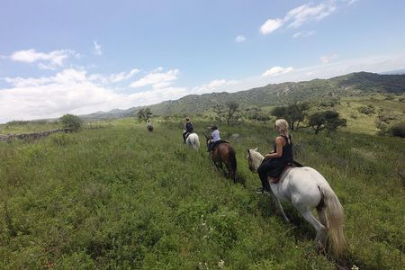 Horseback riding through the Sierras