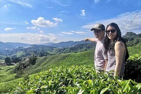 Cameron Highland Best Tour from Ipoh with Lunch ( Day Trip)