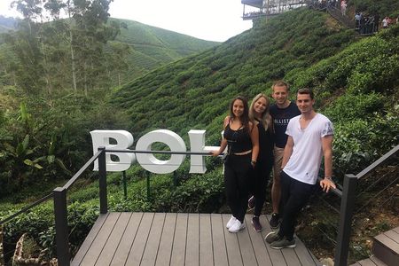 Cameron Highland Best Day Tour from Ipoh with Lunch ( Day Trip)