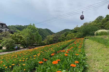 Kobe private tour from Osaka (Shore excursion available from Osaka or Kobe port)