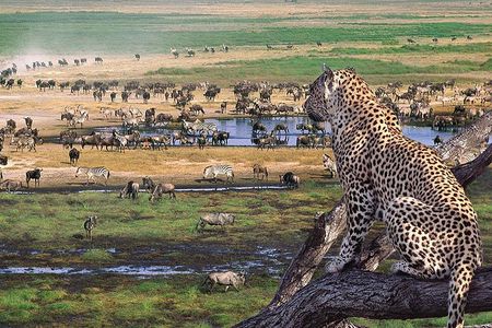 3 Day Joined Group Mid-range Safari Serengeti and Ngorongoro National Park