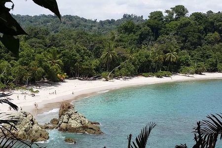 Manuel Antonio National Park; Beach & Sightseeing Day Trip from San Jose