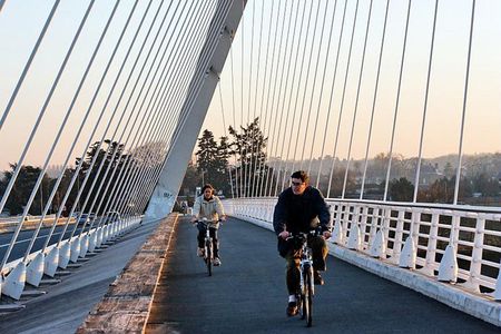 Strasbourg Sightseeing Kehl Bike Guided Tour
