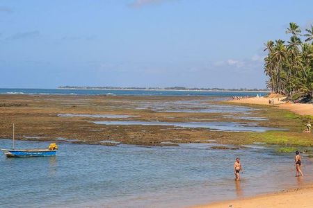 Praia do Forte Full Day Tour, Salvador, Bahia, Brazil