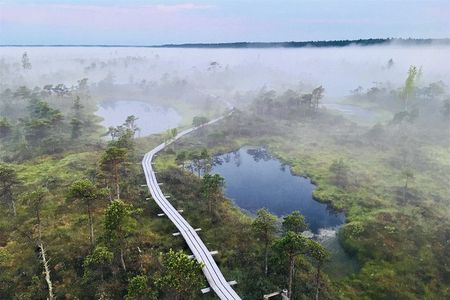 Ķemeri Bog Boardwalk, Baltic Sea & Jūrmala Day Tour from Riga