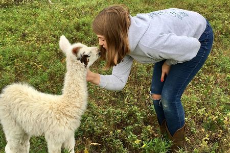 Llama/Alpaca Hike and Farm Tour